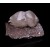 Calcite Moscona M05371